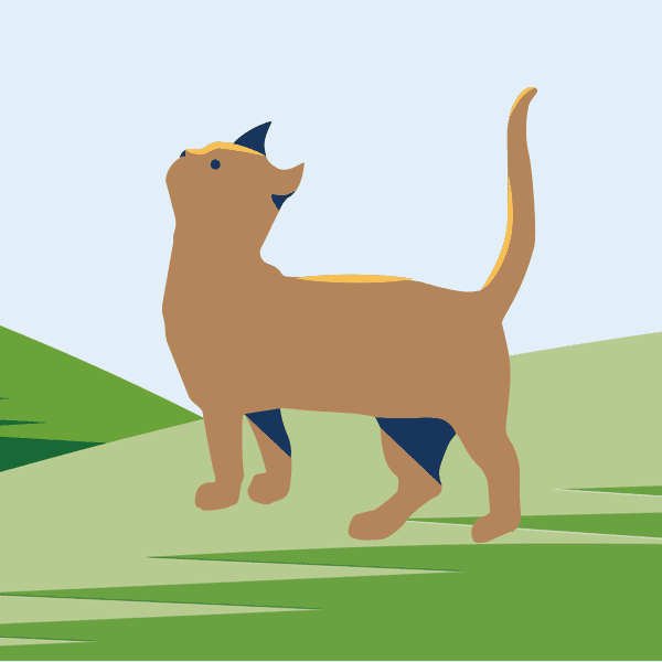 Drawing of happy cat standing on grass.