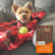Happy dog posing with tennis ball for dog food testimonial.