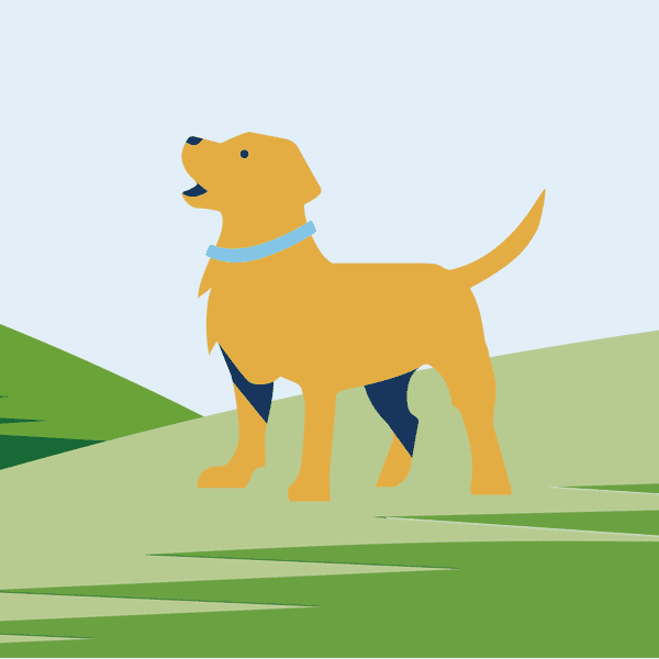 Drawing of barking dog standing on grass.