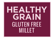Healthy Grain Gluten Free Millet icon for select Nature's Logic Distinction Canine Recipes.