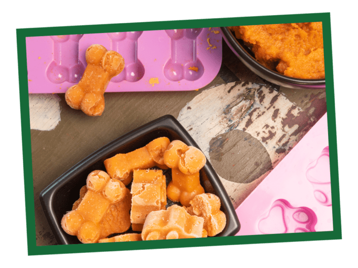 NL_Blog-Images_Body_FrozenTreats_1030x771