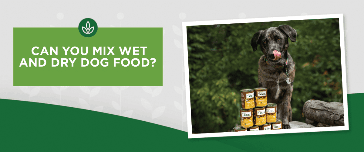 Can You Mix Wet and Dry Dog Food?