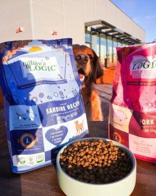 Nature's logic dog food cheap petco